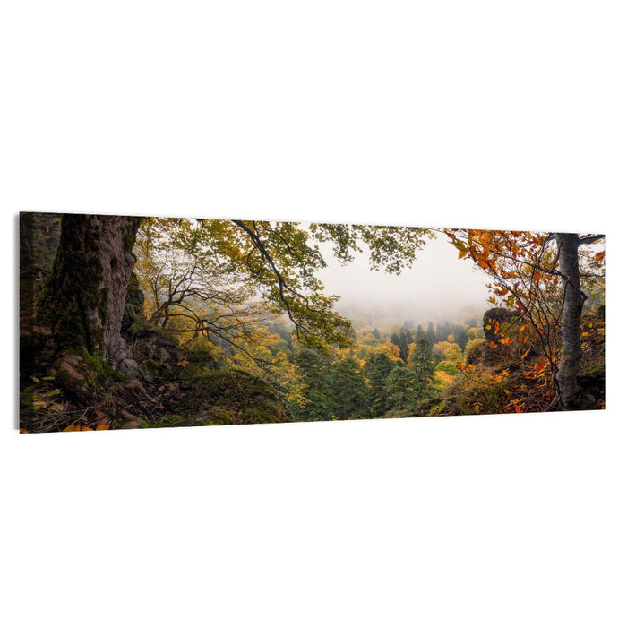 Enchanted Forest Valley Wall Art as a canvas print