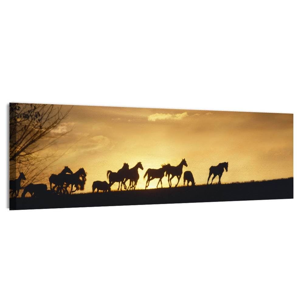 Mustang Silhouettes at Sunset Wall Art, canvas print, panoramic