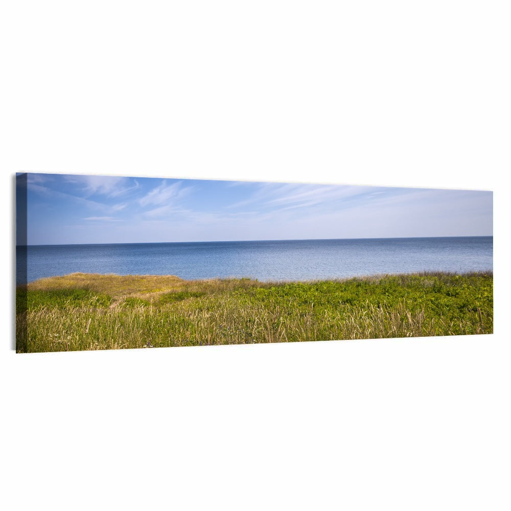 Atlantic Coastal Meadow Wall Art, canvas print, panoramic