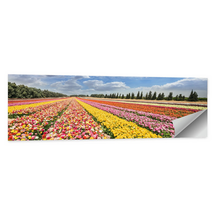 Spring Buttercup Field Wall Art as a poster print