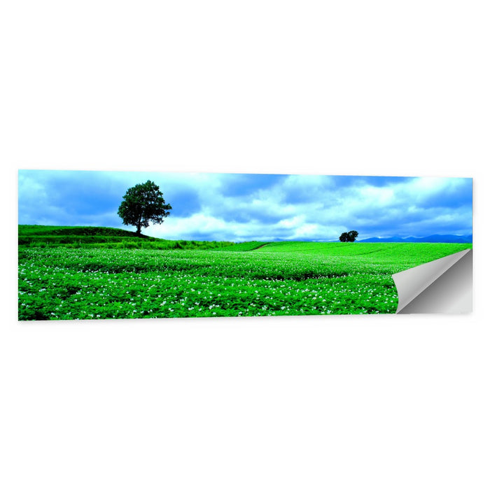 Biei Hill with Lone Tree, Hokkaido Wall Art as a poster print