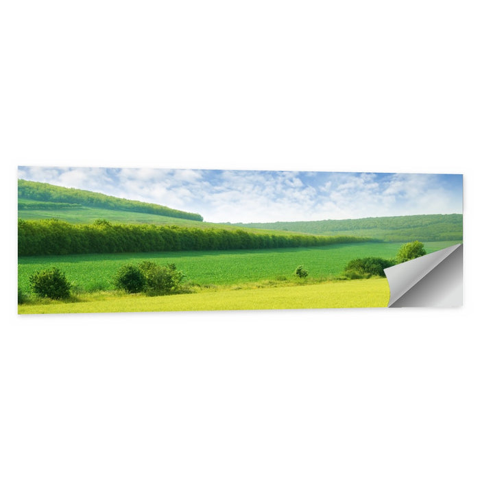 Green Spring Meadow Wall Art as a poster print