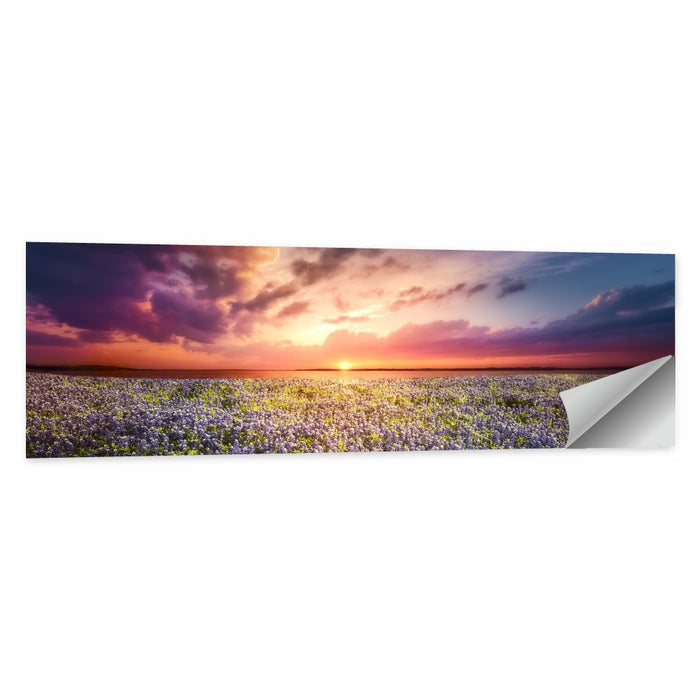 Texas Bluebonnet Sunset Wall Art as a poster print