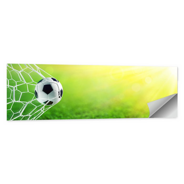 Sunlit Soccer Ball in Net Wall Art as a poster print