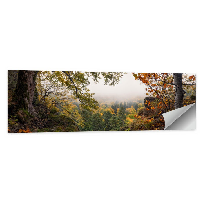 Enchanted Forest Valley Wall Art as a poster print