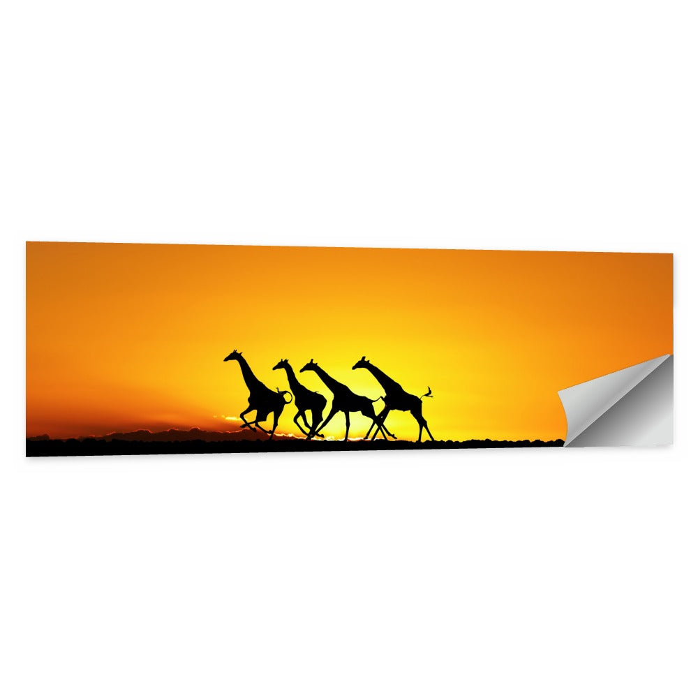 Savanna Giraffes at Sunset Wall Art, poster print, panoramic