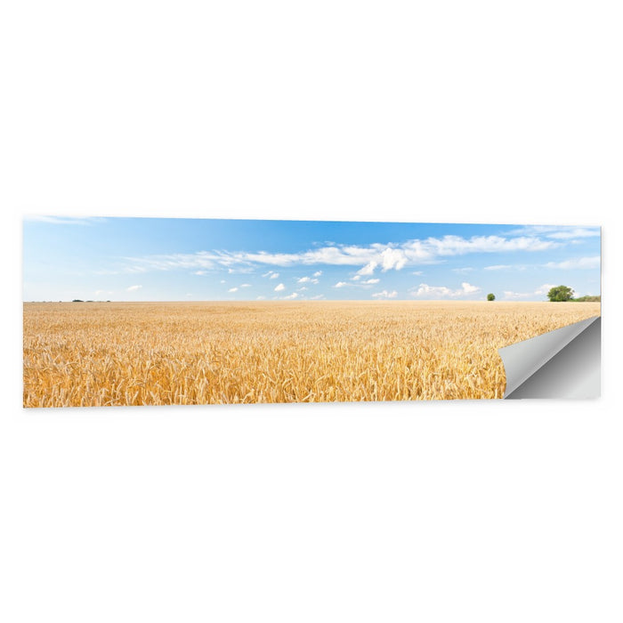 Golden Wheat Field with Blue Sky Wall Art as a poster print