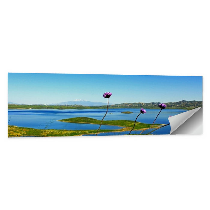 Lake Mathews Wildflower View Wall Art as a poster print