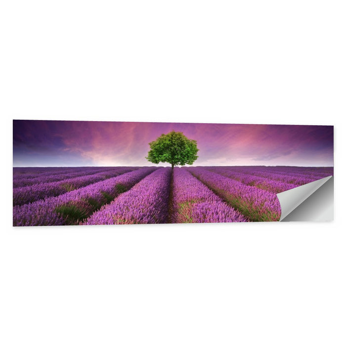Lavender Field at Sunset Wall Art as a poster print