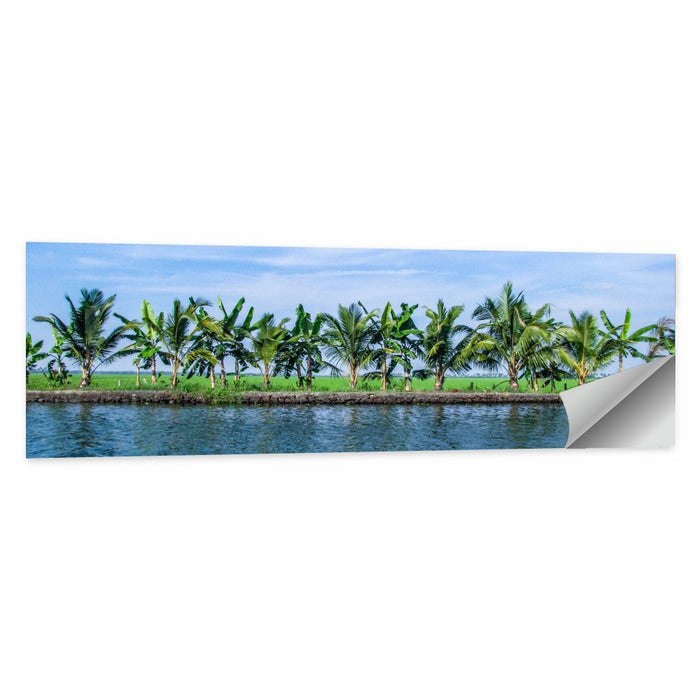 Vembanad Lake Landscape Wall Art as a poster print