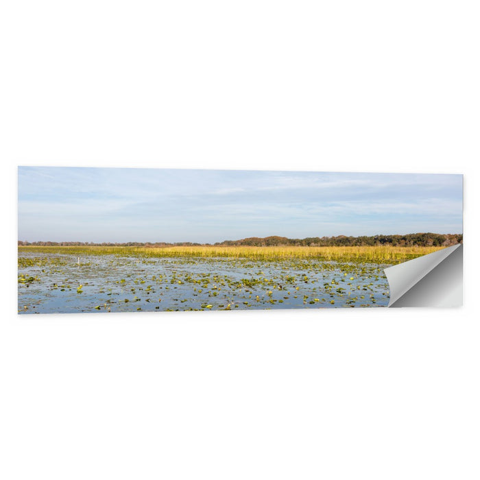 Lake Toho Lily Pads Wall Art as a poster print