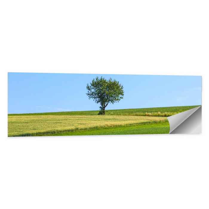 Solitary Tree on Rolling Meadow Wall Art as a poster print