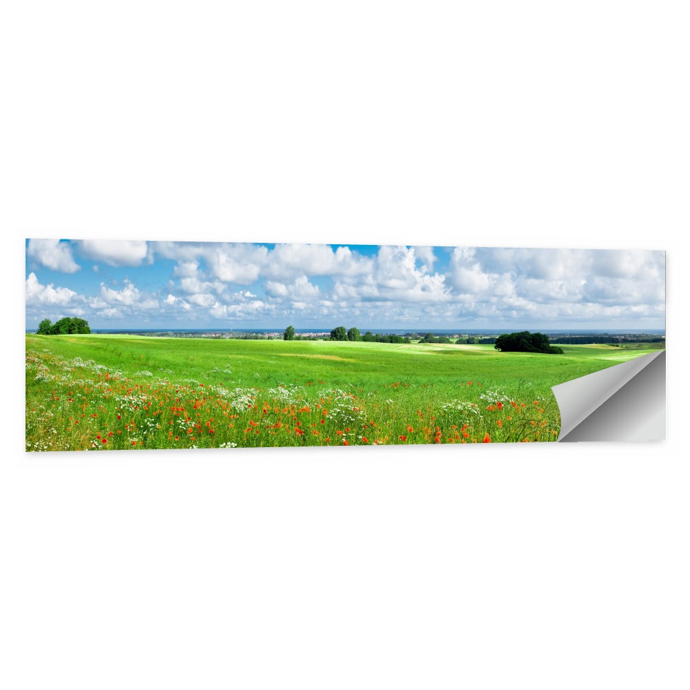Summer Meadow with Poppies Wall Art, poster print, panoramic