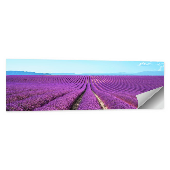 Lavender Flower Fields Wall Art as a poster print