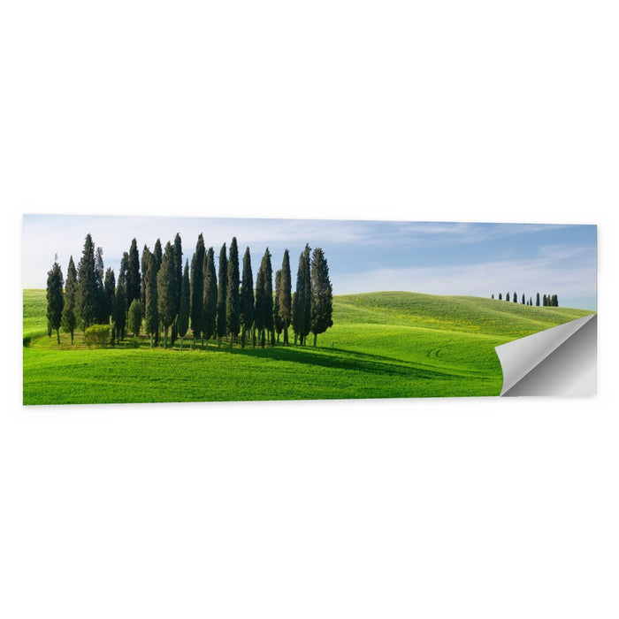 Tuscany Rolling Hills with Cypresses Wall Art as a poster print