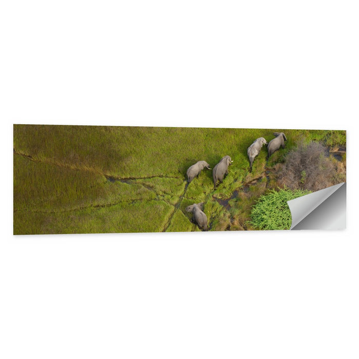 Aerial Herd of Elephants Wall Art as a poster print