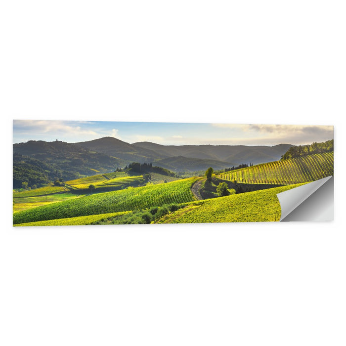 Sunlit Chianti Vineyard Wall Art as a poster print