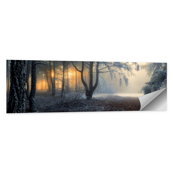 Frosted Forest Morning Light Wall Art as a poster print