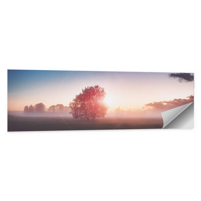 Morning Tree Silhouette Wall Art as a poster print