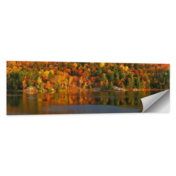 George Lake Morning Reflection Wall Art as a poster print