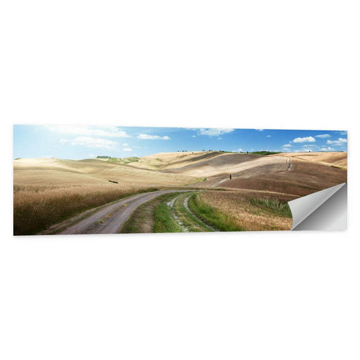 Dirt Road Through Tuscany Wall Art as a poster print