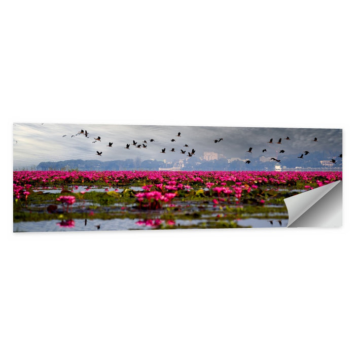 Red Lotus Lake Wall Art as a poster print