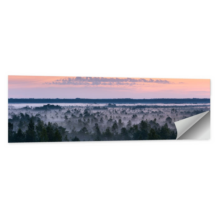 Estonian Misty Pine Landscape Wall Art as a poster print
