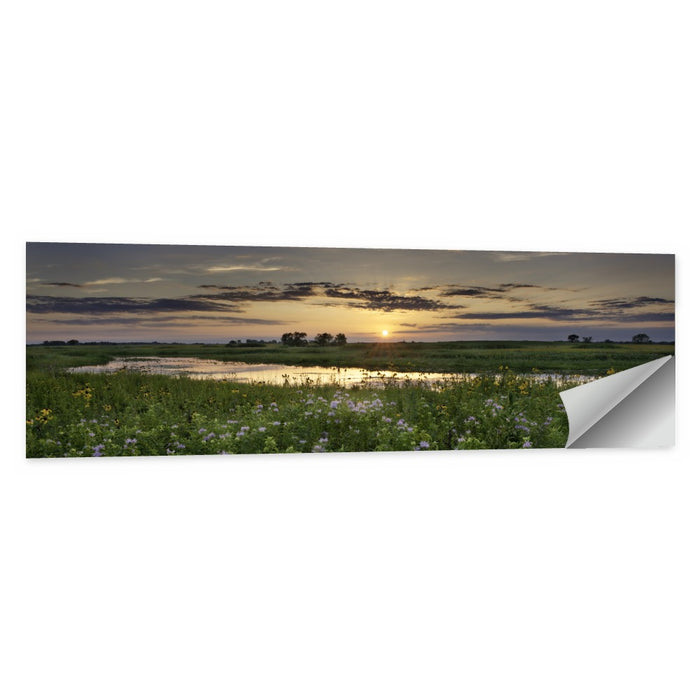 Illinois Fields Sunset Wall Art as a poster print