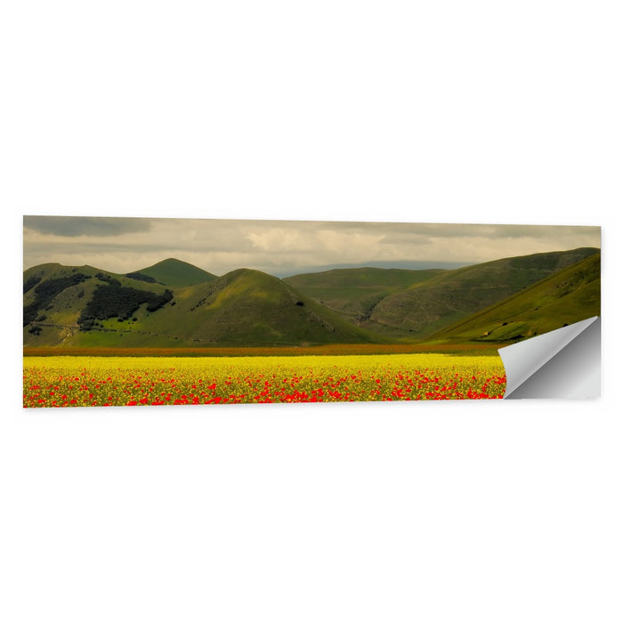 Castelluccio Wildflower Meadow Wall Art as a poster print