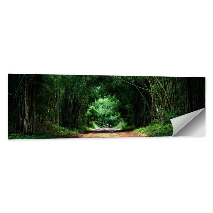 Bamboo Road in Kyoto Wall Art as a poster print