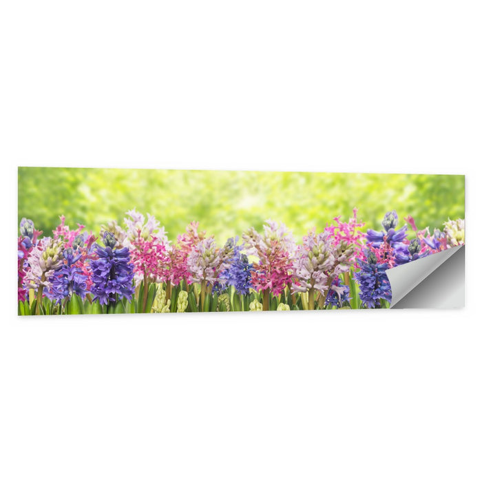 Hyacinth Cluster in Bloom Wall Art as a poster print