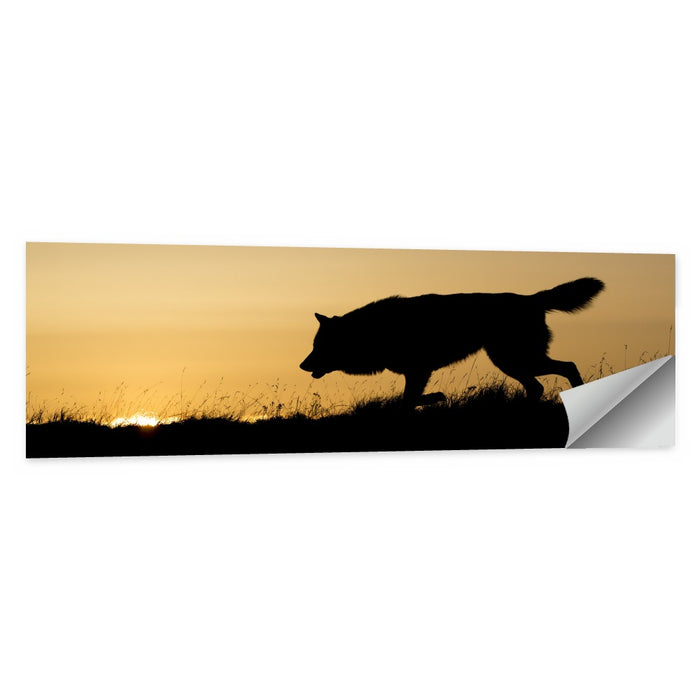 Wolf at Golden Horizon Wall Art as a poster print