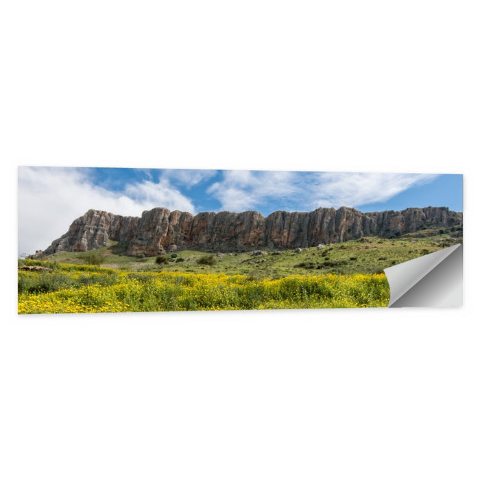 Mount Arbel Wildflower Meadow Wall Art as a poster print