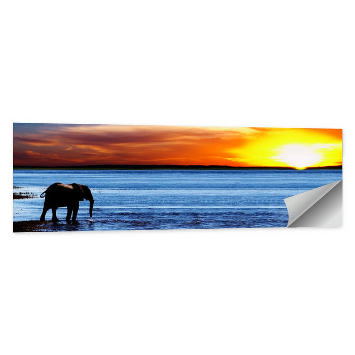 Elephant Silhouette at Beach Sunset Wall Art as a poster print