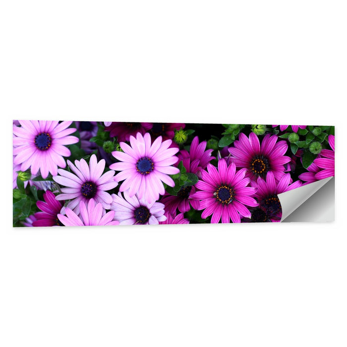 Pink and Purple Daisies Wall Art as a poster print