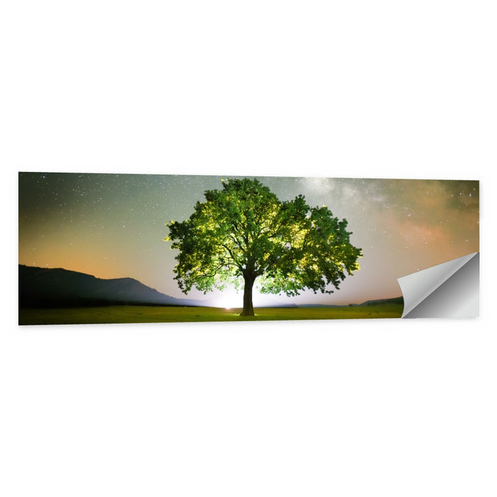 Lone Tree Under Milky Way Wall Art as a poster print