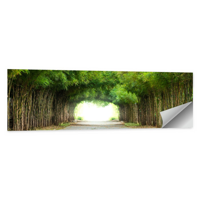 Kyoto Bamboo Canopy Walkway Wall Art as a poster print