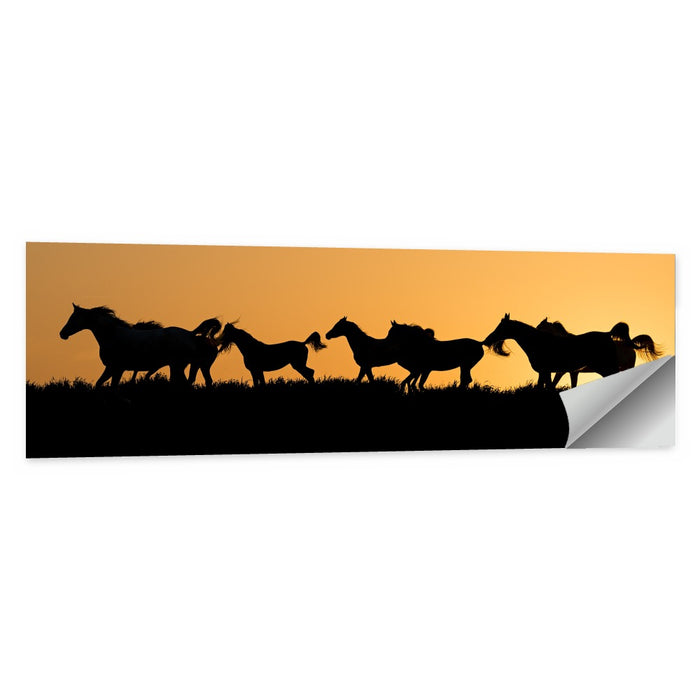 Arabian Horse Silhouettes at Sunset Wall Art as a poster print