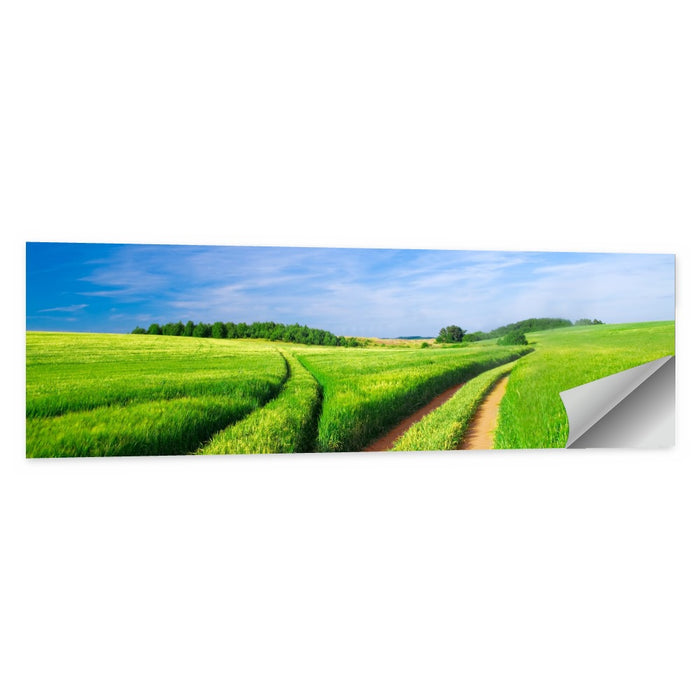Summer Meadow with Dirt Path Wall Art as a poster print