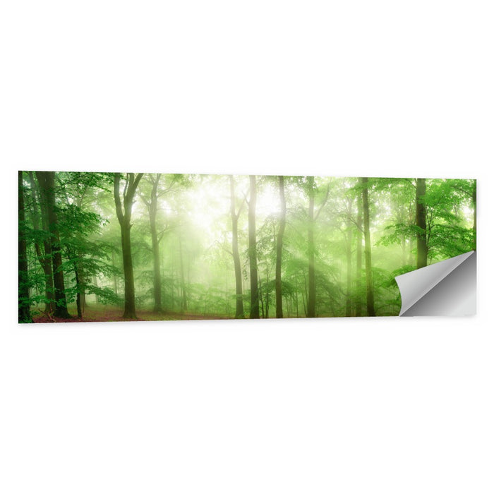 Sunlit Misty Forest Wall Art as a poster print