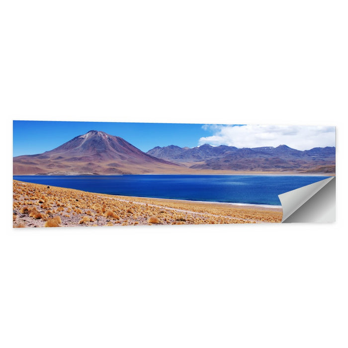 Miscanti Lagoon and Miñiques Volcano Wall Art as a poster print