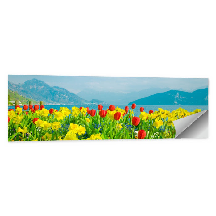 Lake Lucerne Daffodils Wall Art as a poster print
