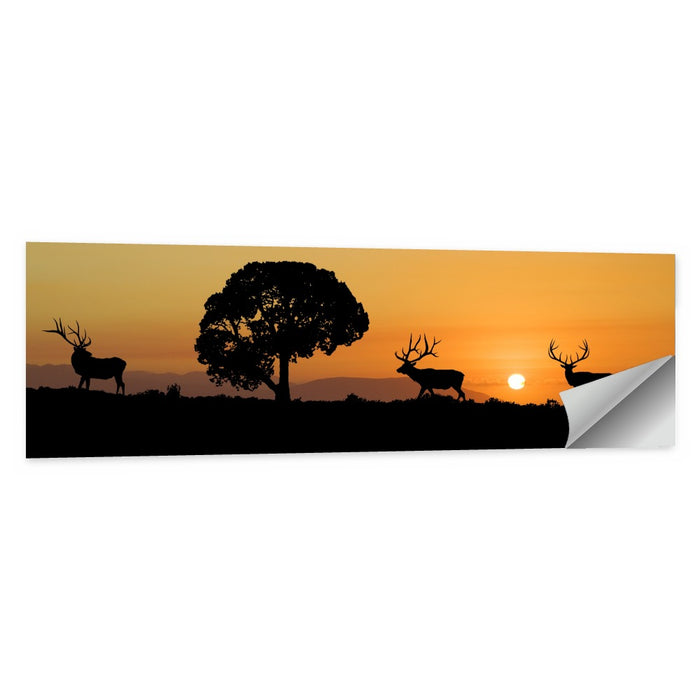 Bull Elk Sunset Silhouette Wall Art as a poster print