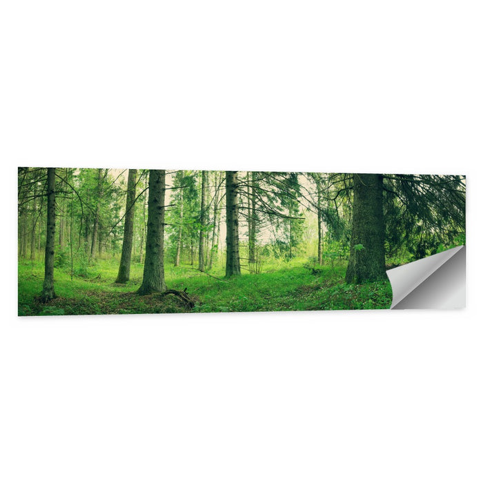 Verdant Forest Interior Wall Art as a poster print