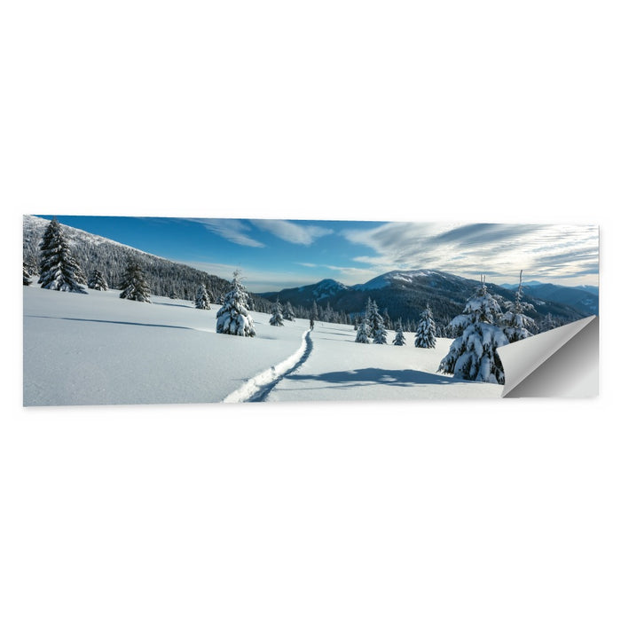 Snowy Carpathian Trail Wall Art as a poster print