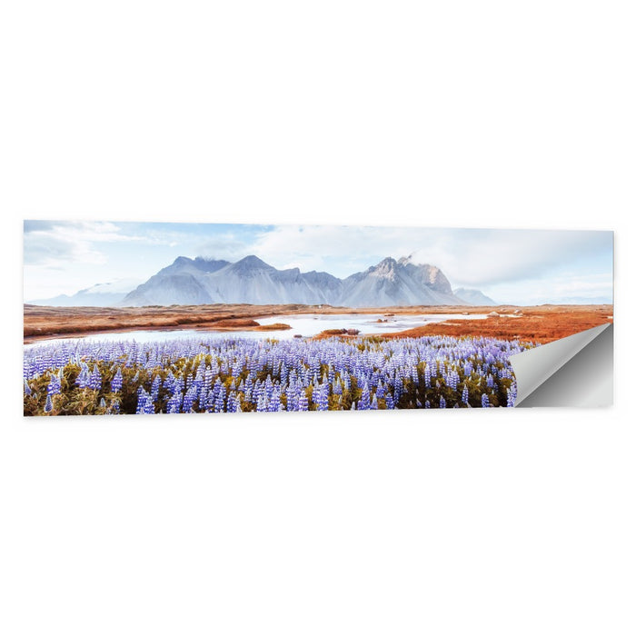 Lupine Fields at Vestrahorn Wall Art as a poster print