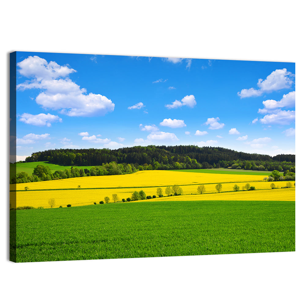 Spring Czech Countryside Landscape Wall Art, canvas print, landscape