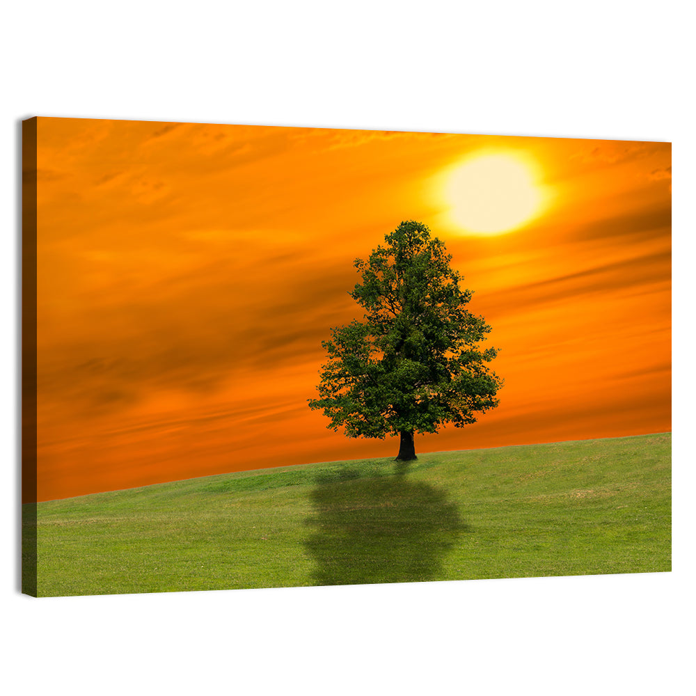 Lonely Tree on Green Hill at Sunset Wall Art, canvas print, landscape