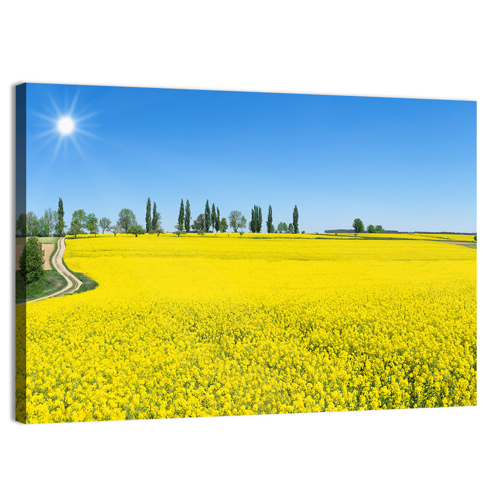 Winding Path Through Rapeseed Field Wall Art, canvas print, landscape