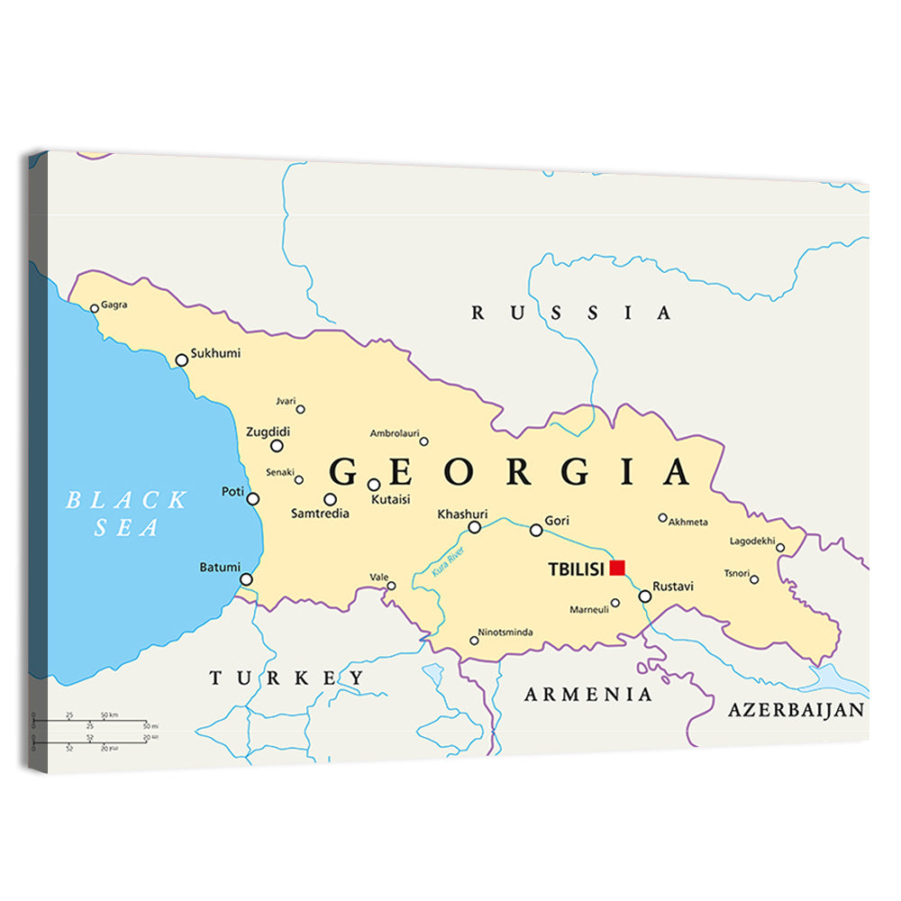 Georgia Political Map with Labeled Cities Wall Art, canvas print, landscape